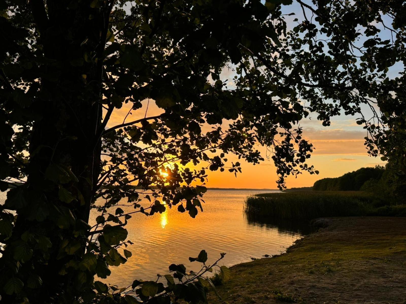 Domek Leba Nowecin Exteriör bild