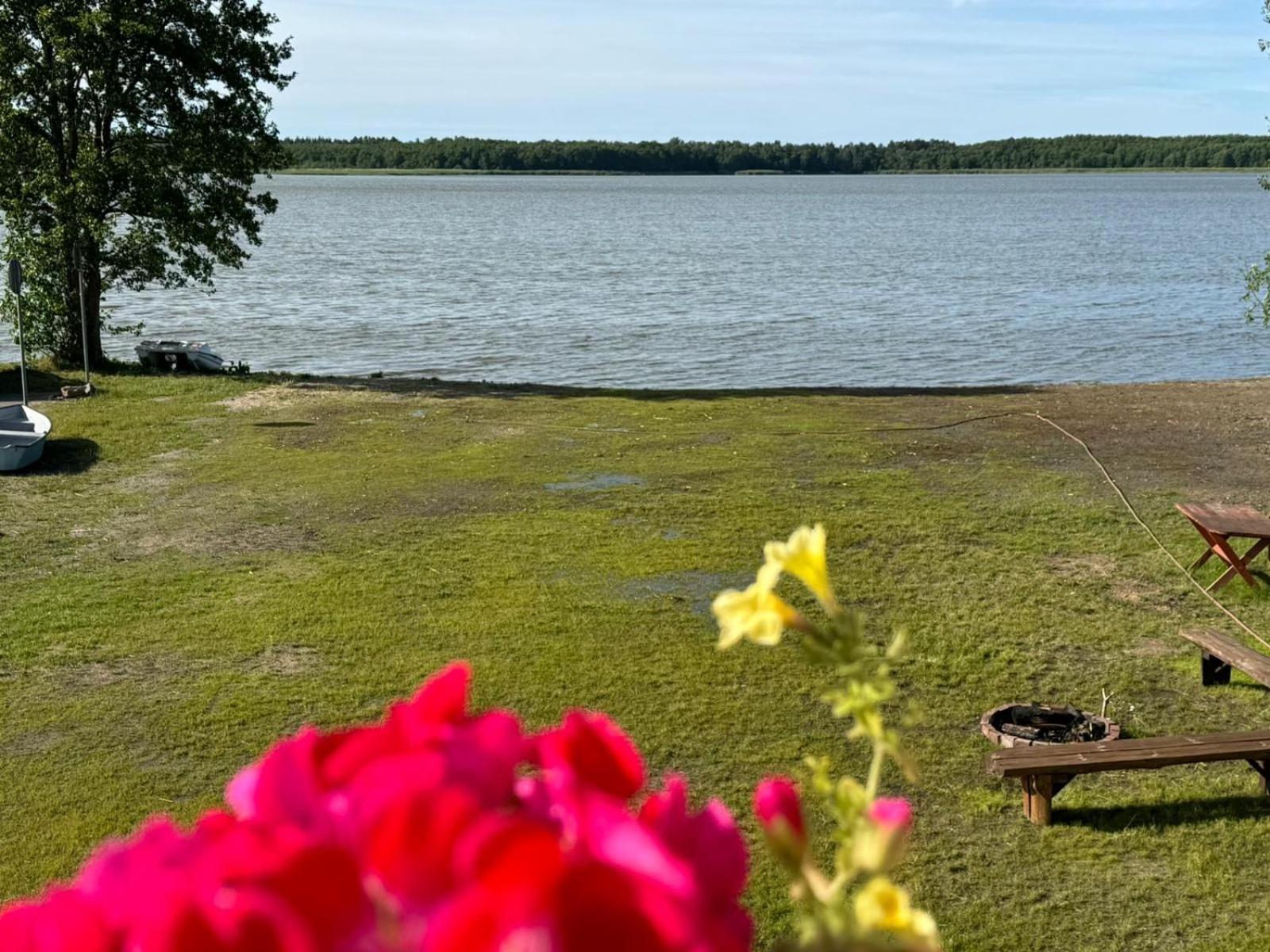 Domek Leba Nowecin Exteriör bild