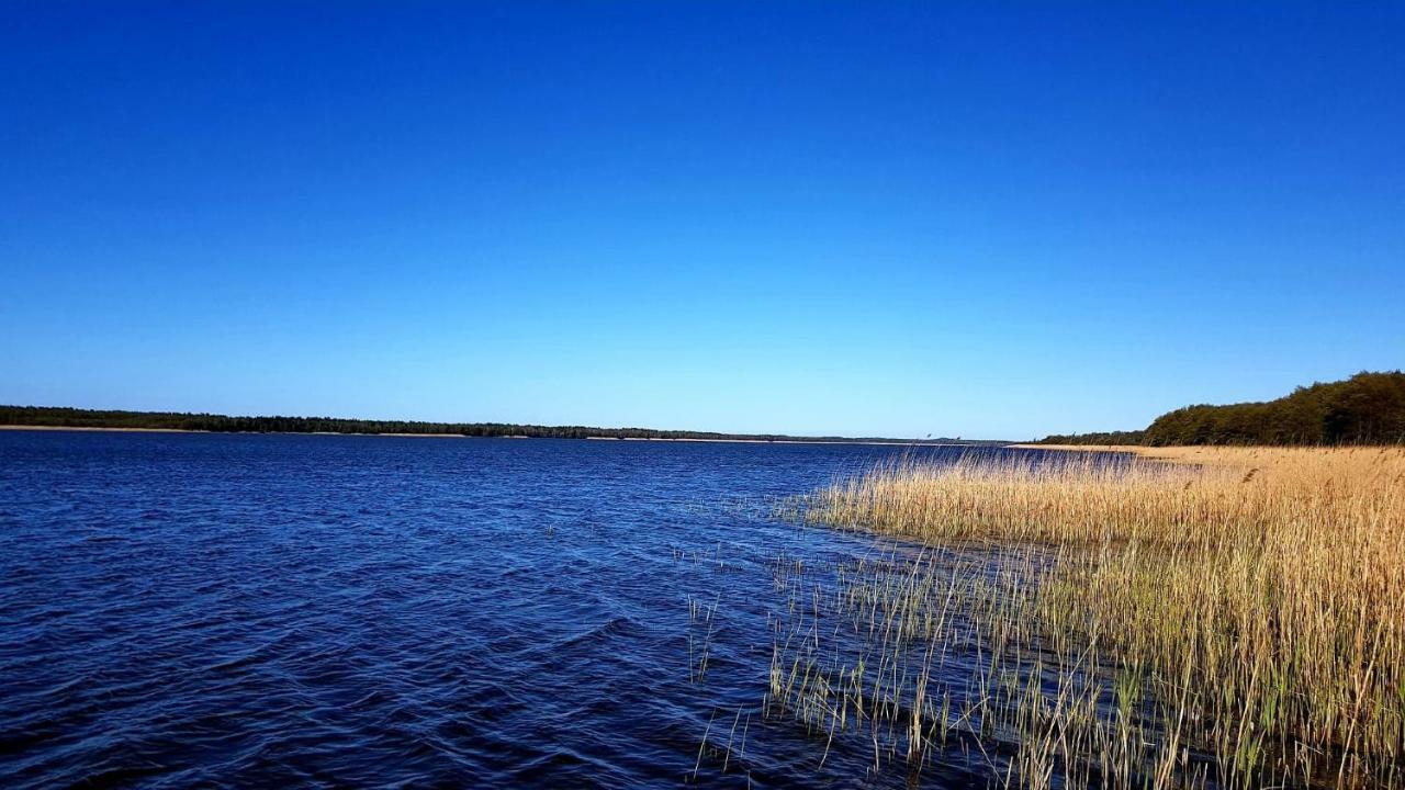 Domek Leba Nowecin Exteriör bild
